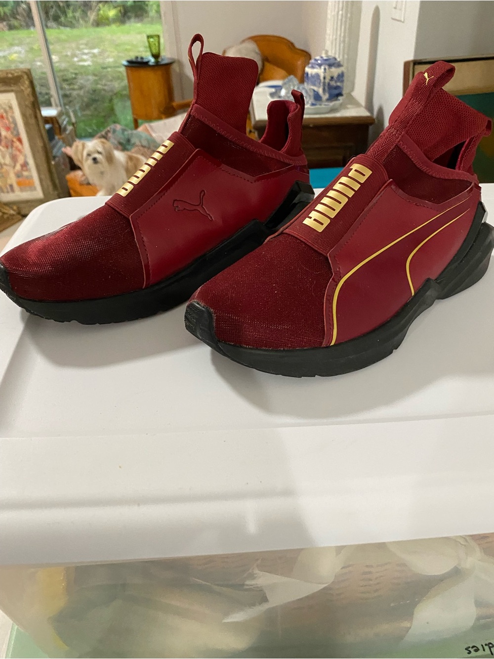 Puma Men’s Burgundy Slip-On Sneakers with Gold Trim